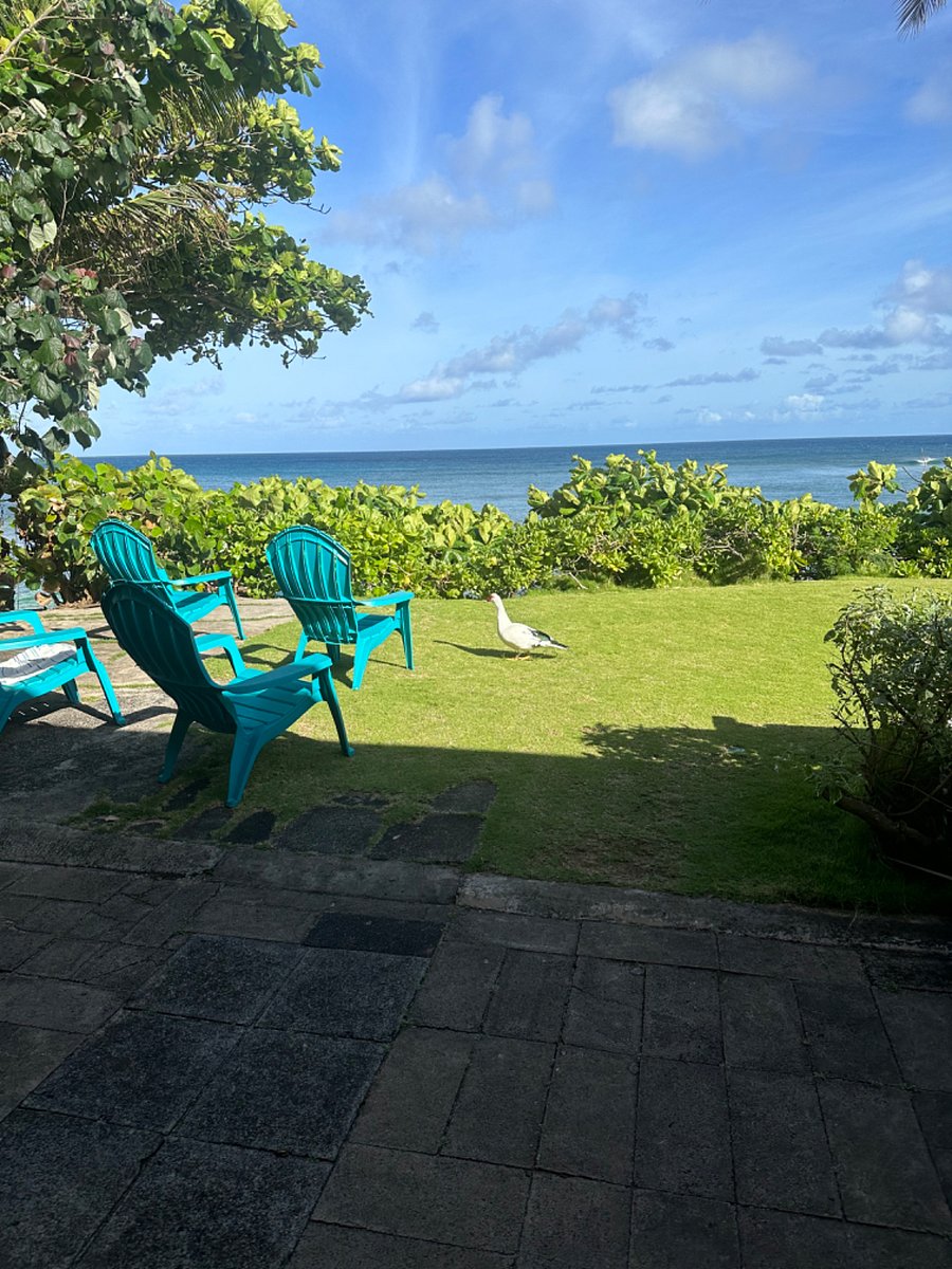 Furnished Finder property 753212_1 photo 11