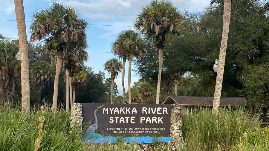Myakka River State Park is a Florida State Park, that is located nine miles (14 km) east of Interstate 75 in Sarasota County and a portion of southeastern Manatee County on the Atlantic coastal plain. This state park consists of 37,000 acres (150 km2), making it one of the state's largest parks. It is also one of the oldest parks in the state. Its close proximity to the house makes it a perfect ride to see alligators and other local wildlife on a well deserved day off.