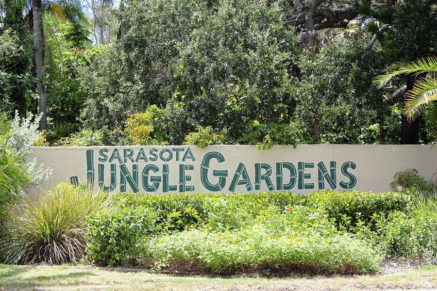 Sarasota Jungle Gardens is a tourist attraction located in Sarasota, since 1939. The gardens contain over 10 acres of botanical plantings along with bird and animal shows.