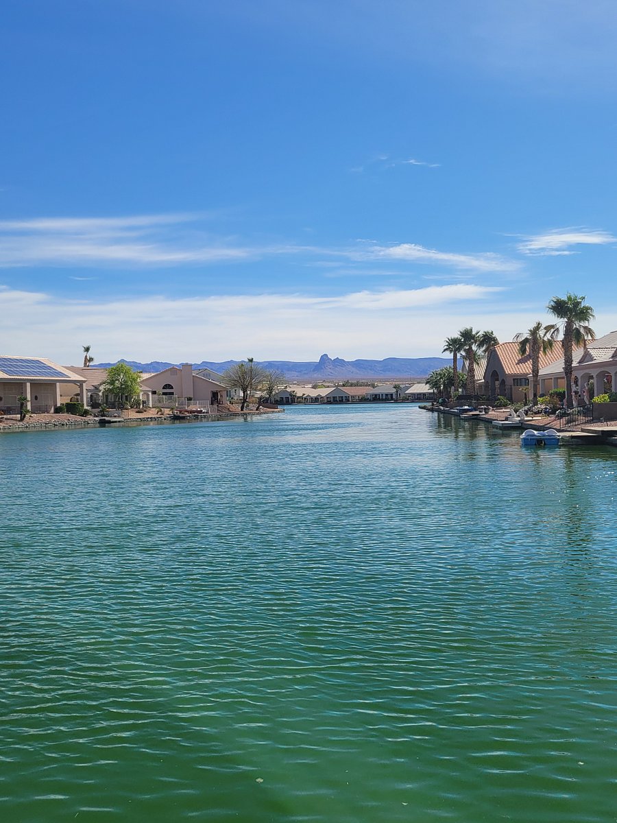 View of lake from backyard.