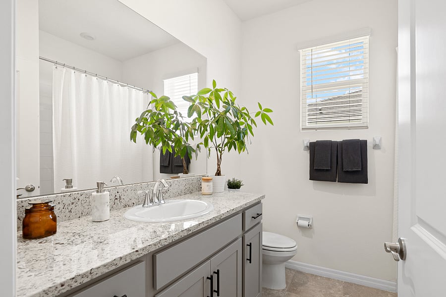 Furnished Finder property 754068_1 photo 19