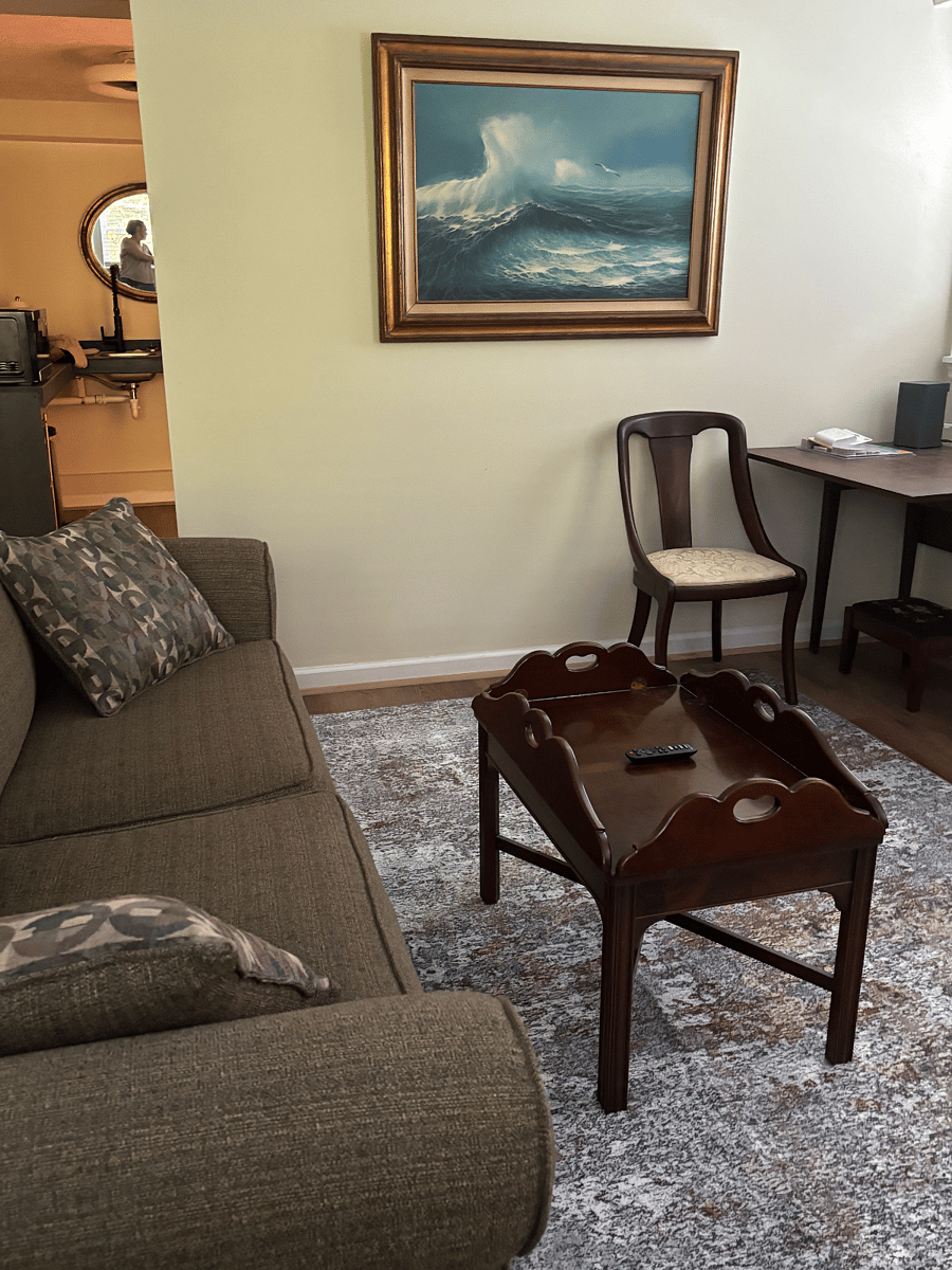 New Living Room Rug Added