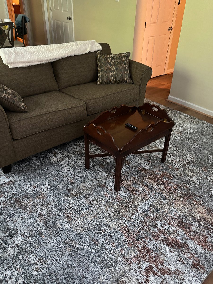 New Living Room Rug Added