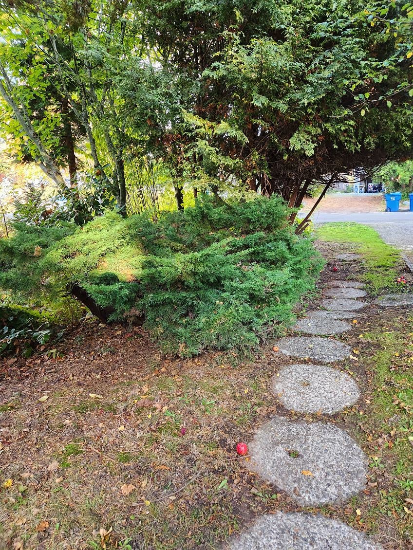 Walkway