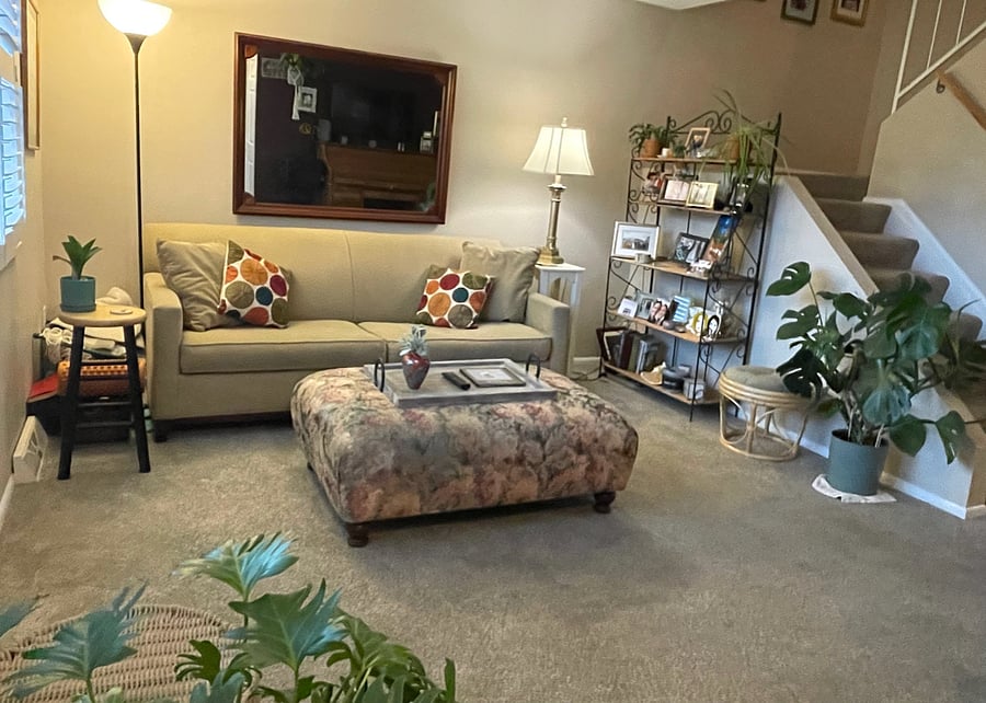 Family room with morning light. Smart TV on wall opposite couch.