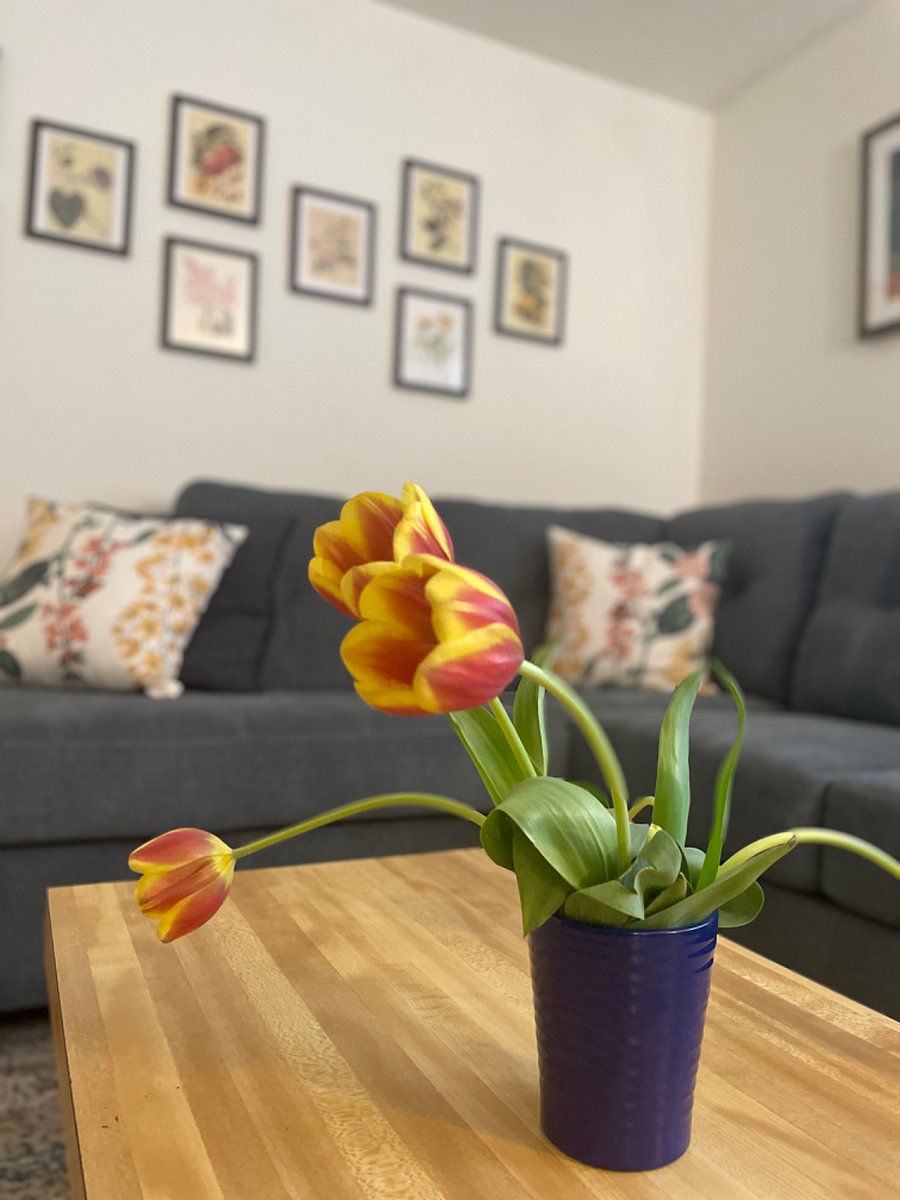 Furnished Finder property 754918_2 photo 15
