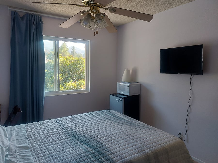 View of mini-fridge, microwave oven and Roku Smart TV