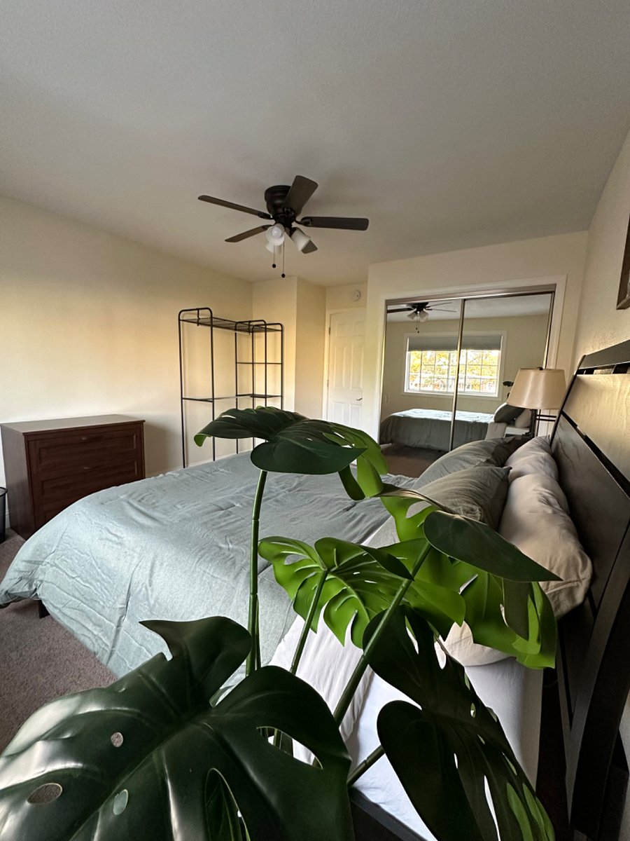 Furnished Finder property 755165_1 photo 10