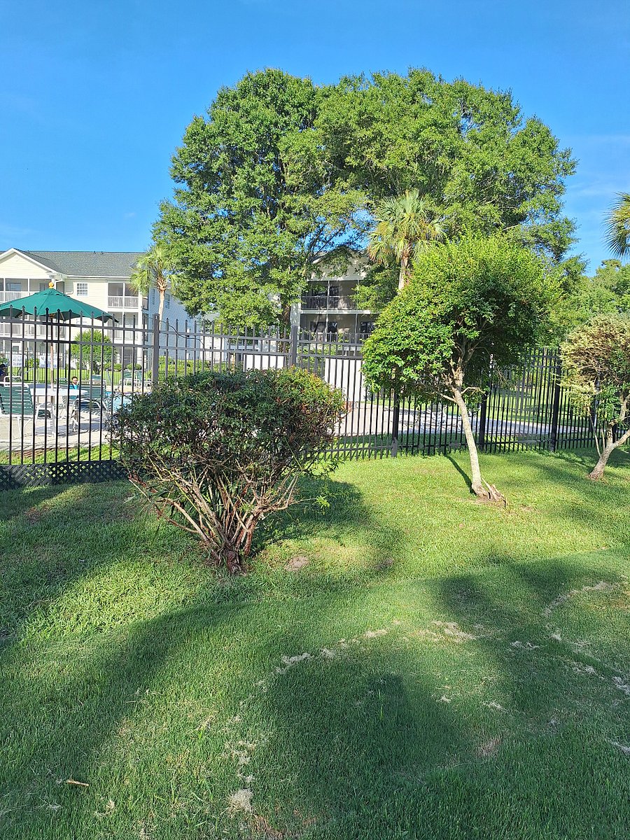 Furnished Finder property 755239_1 photo 11
