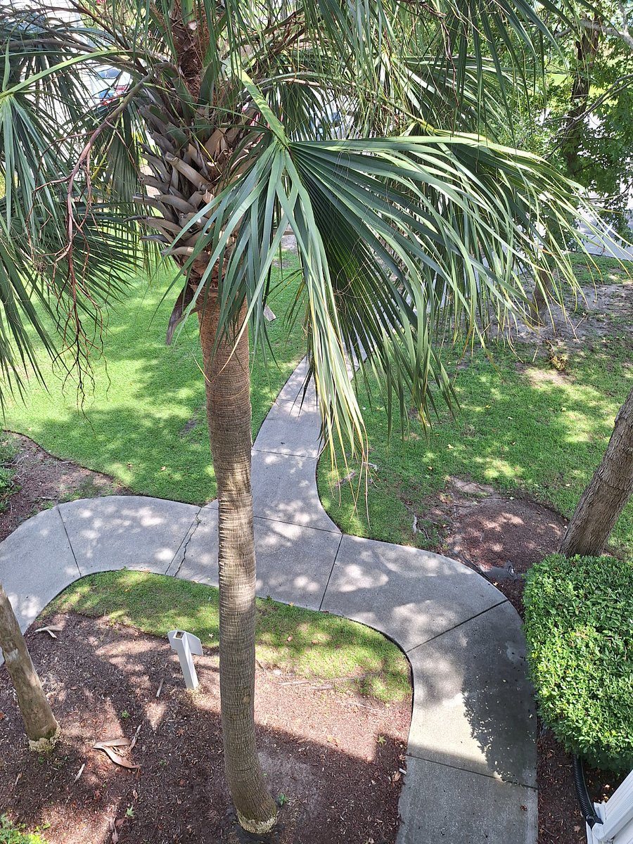 Furnished Finder property 755239_1 photo 13