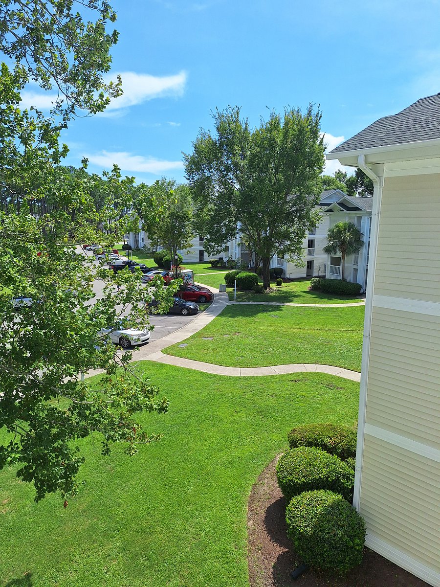 Furnished Finder property 755239_1 photo 15