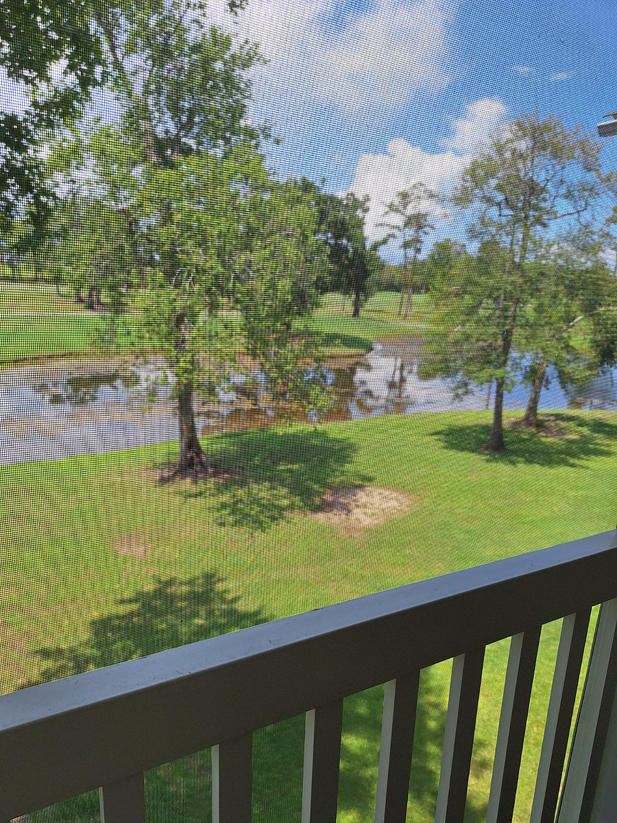 Furnished Finder property 755239_1 photo 21