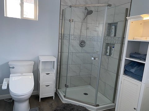 Shower and Japanese Toilet with heated seat and warm water bidet.