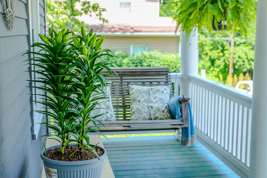 Furnished Finder property 755353_1 photo 14