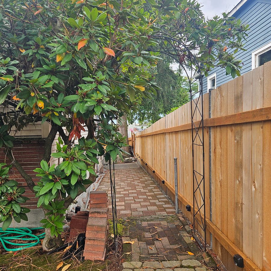 Pathway Continued