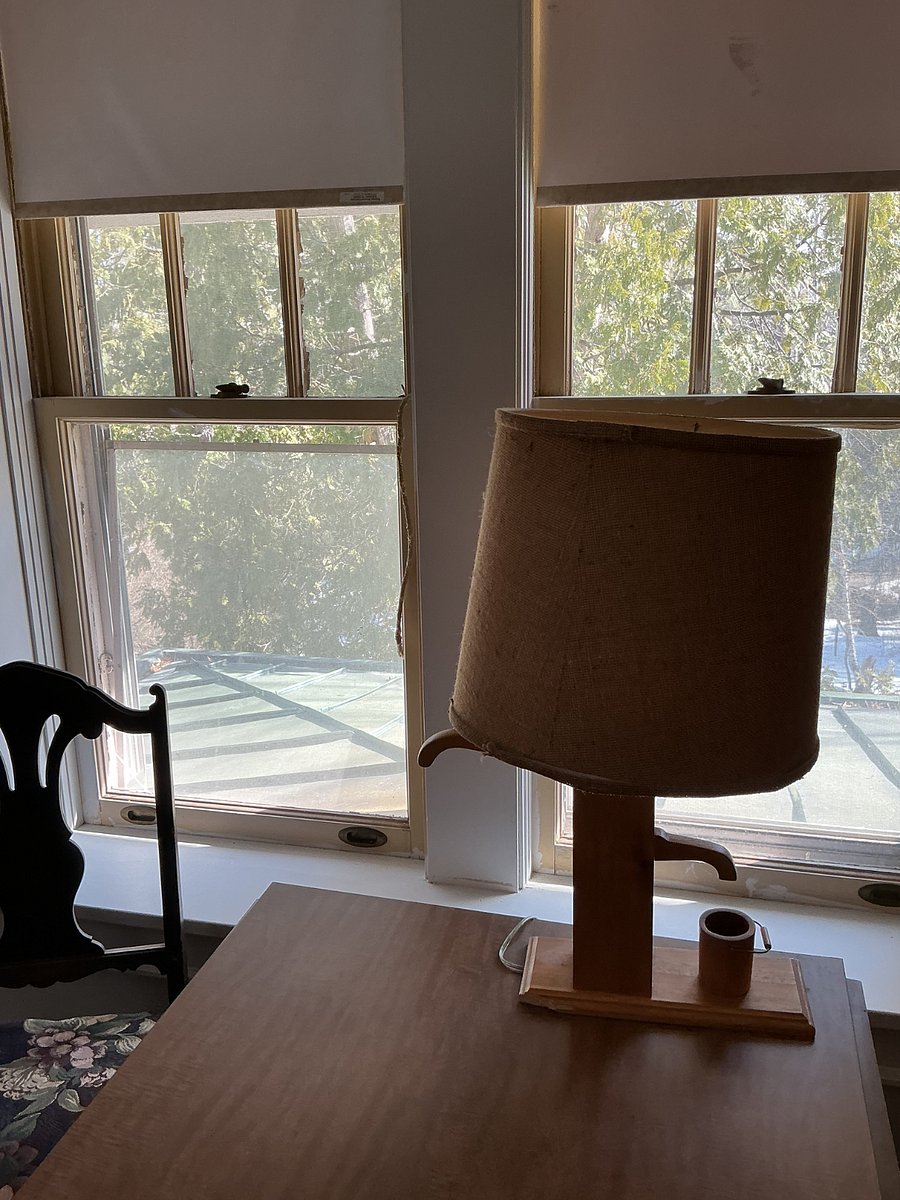 All windows have views of trees