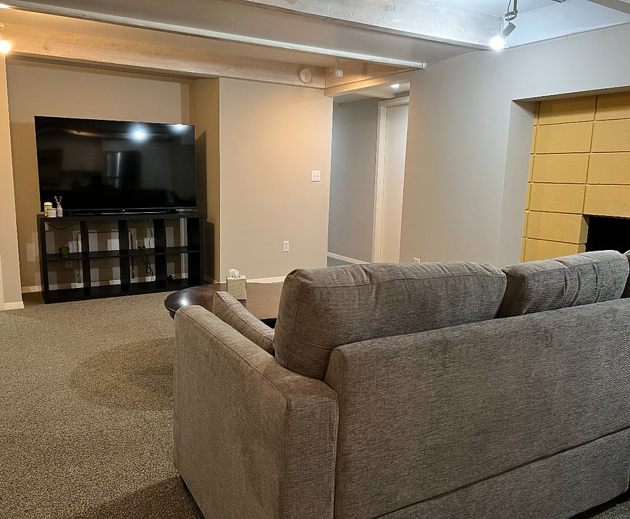 Living room and TV area