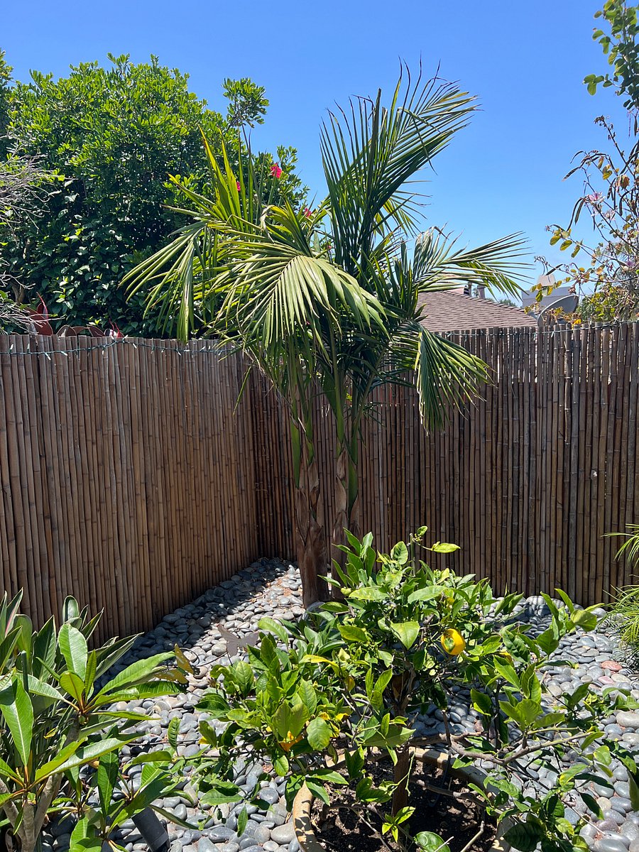 Furnished Finder property 755740_1 photo 10