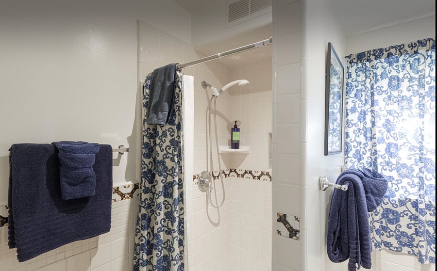 Shower in hall bathroom