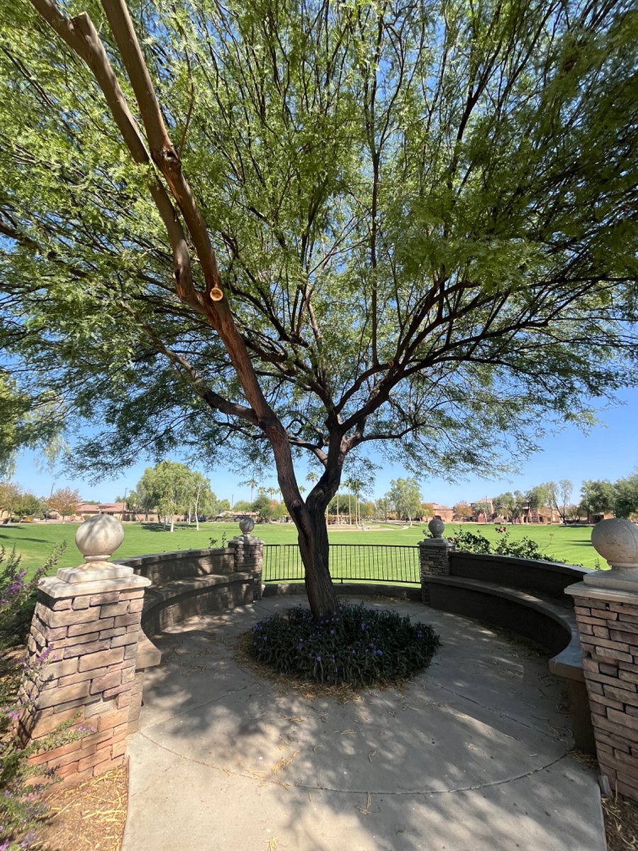 Furnished Finder property 755791_1 photo 13