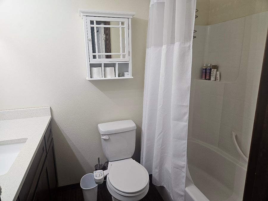Master bathroom