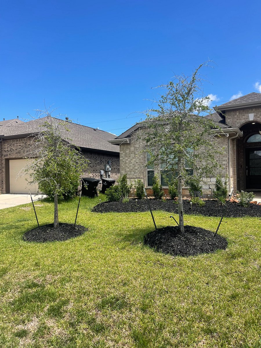 Furnished Finder property 755989_1 photo 6