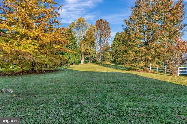 Our Backyard