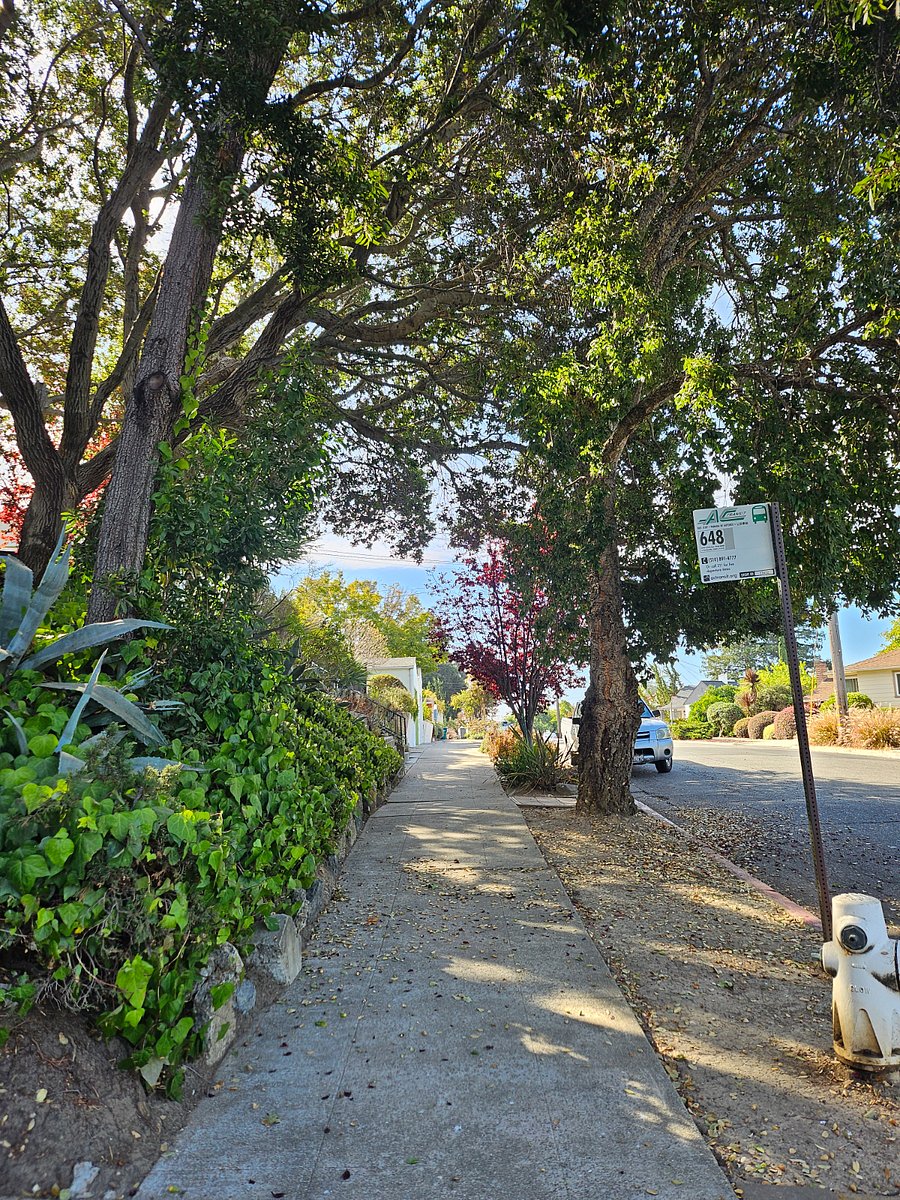Furnished Finder property 756100_1 photo 13