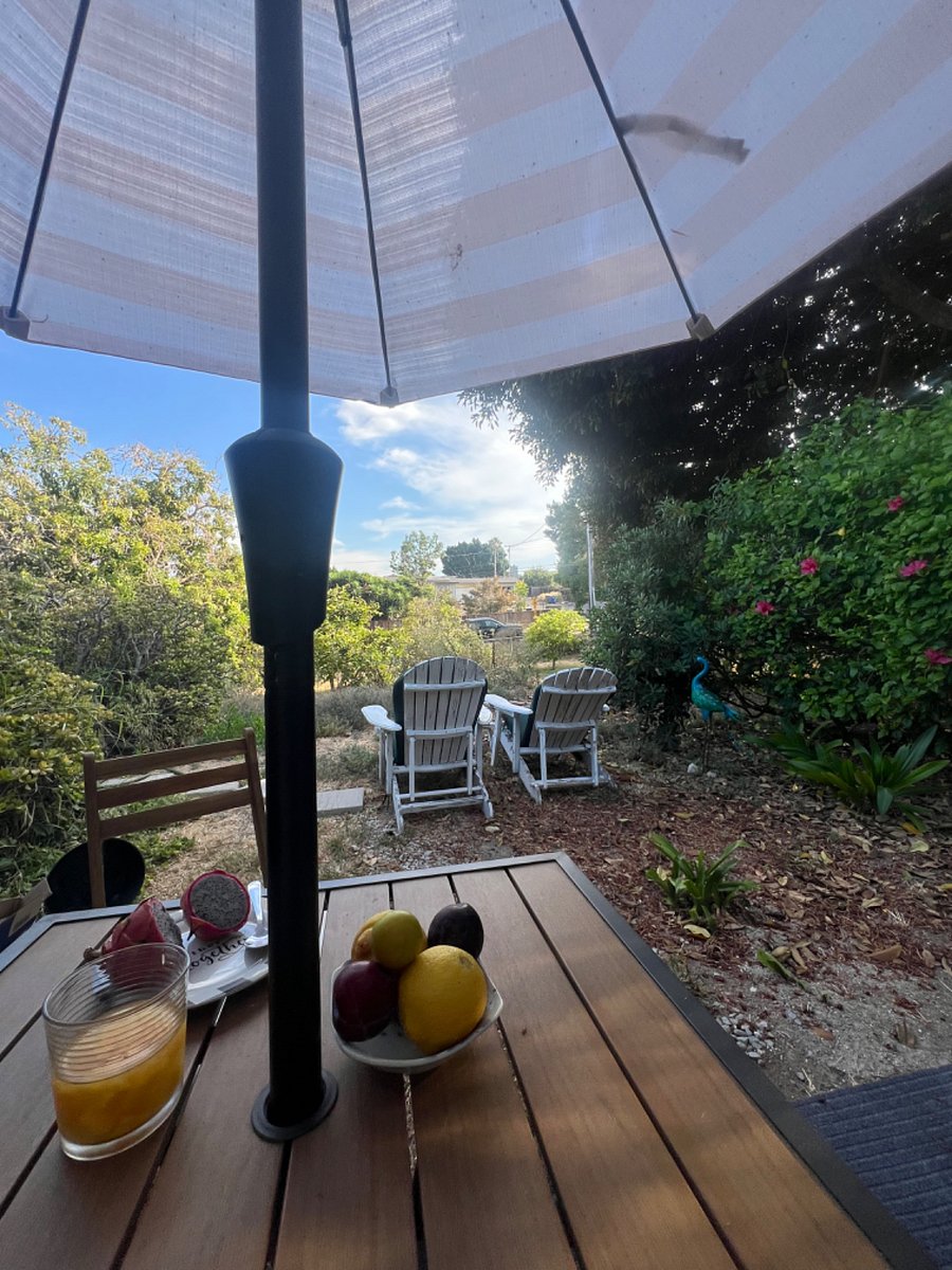 The view out your door under the great Banyon tree overlooking the apple & orange orchard. You also have a persimmon tree and a white sapote to your left. Perfect space to enjoy your morning coffee.