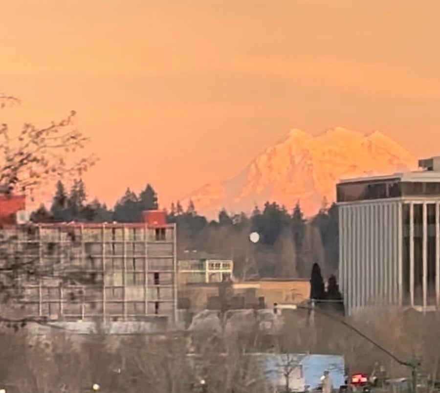 This is from the street that goes down the hill into downtown. The view from the house is really quite obstructed, but it's possible to see the mountain peeking out on a good day : ).