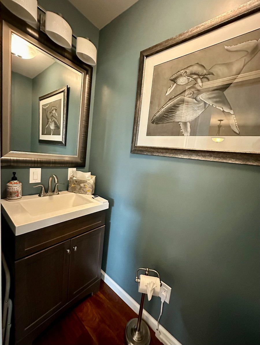 Guest 1/2 bath (WC only)