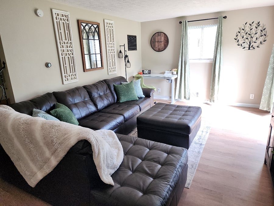 Couch with Nest behind it