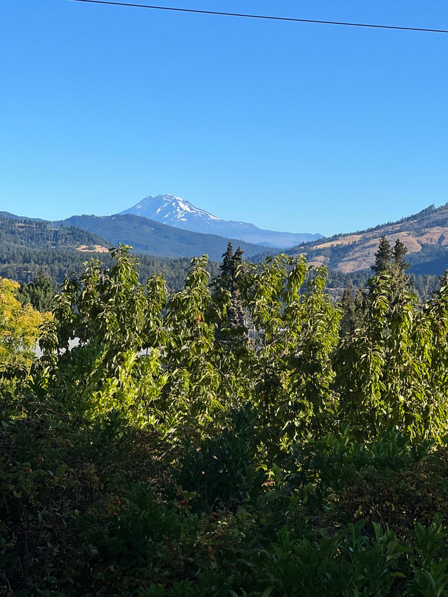 Mt Adams view