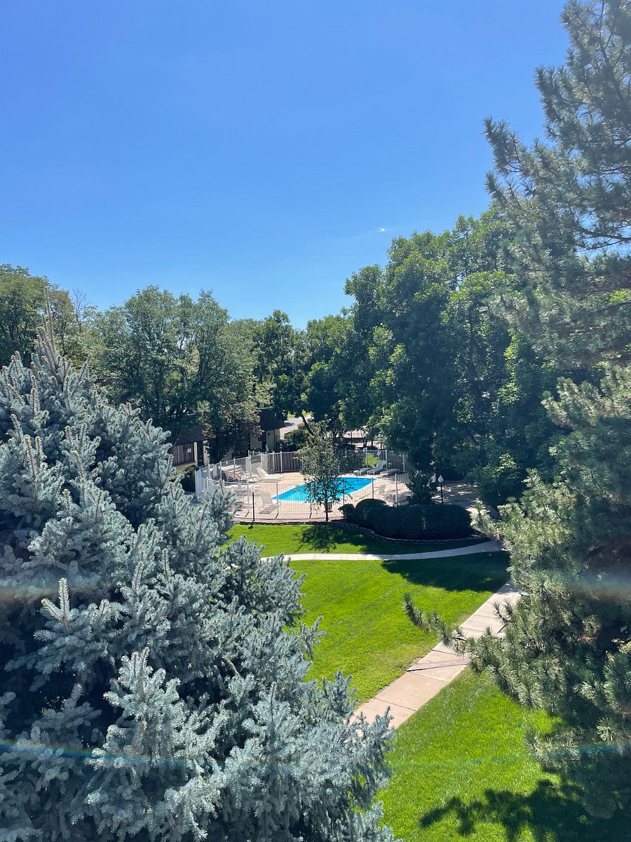 Courtyard and pool from balcony