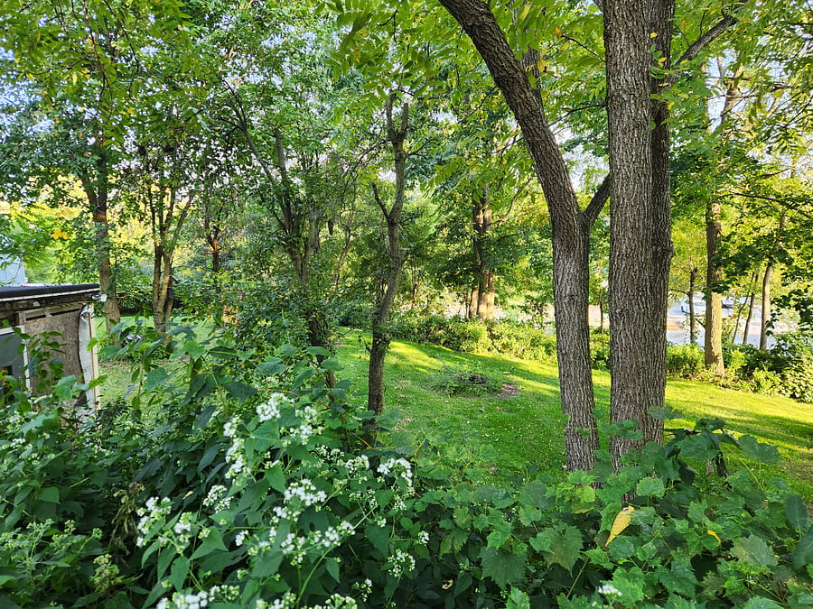 Furnished Finder property 756907_1 photo 19