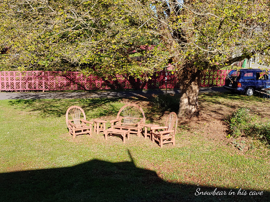 Backyard seating area