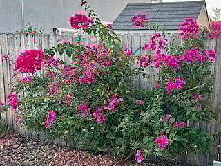 Furnished Finder property 757047_1 photo 7