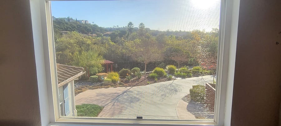 view from window