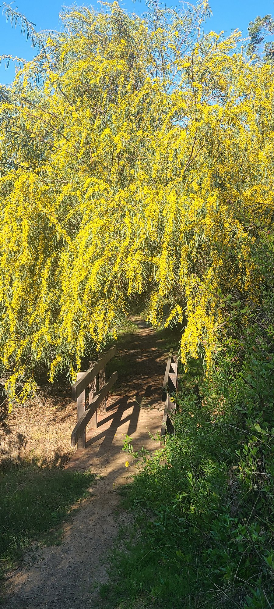 Walking distance access to nearby trail