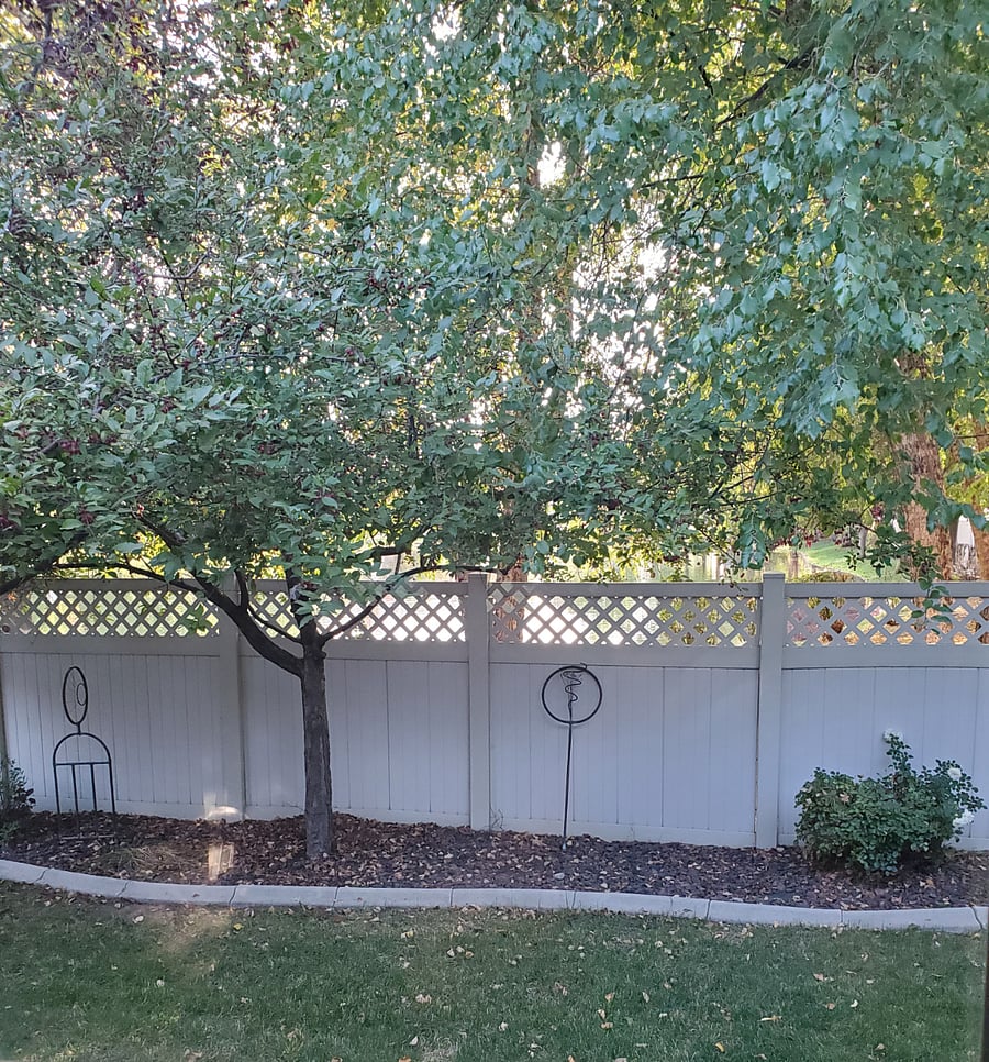 This is your view of the backyard from your room overlooking the pond.