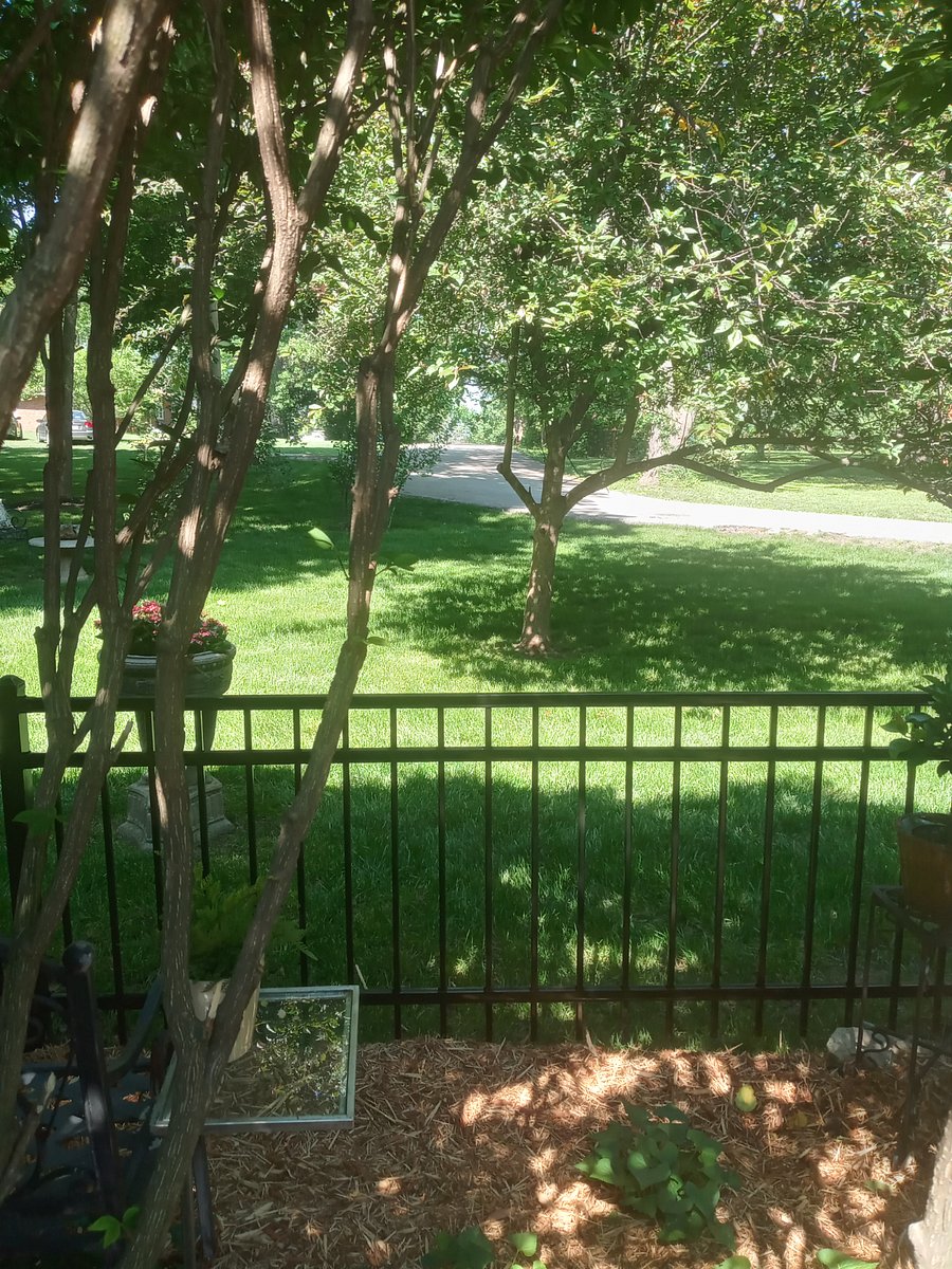 Furnished Finder property 757278_1 photo 14