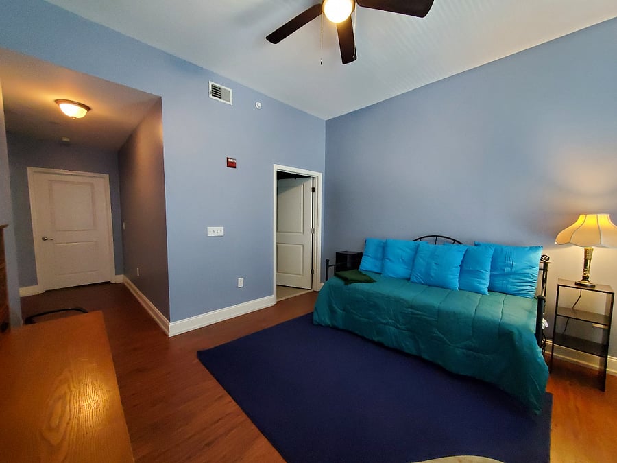 Daybed in second bedroom/office.