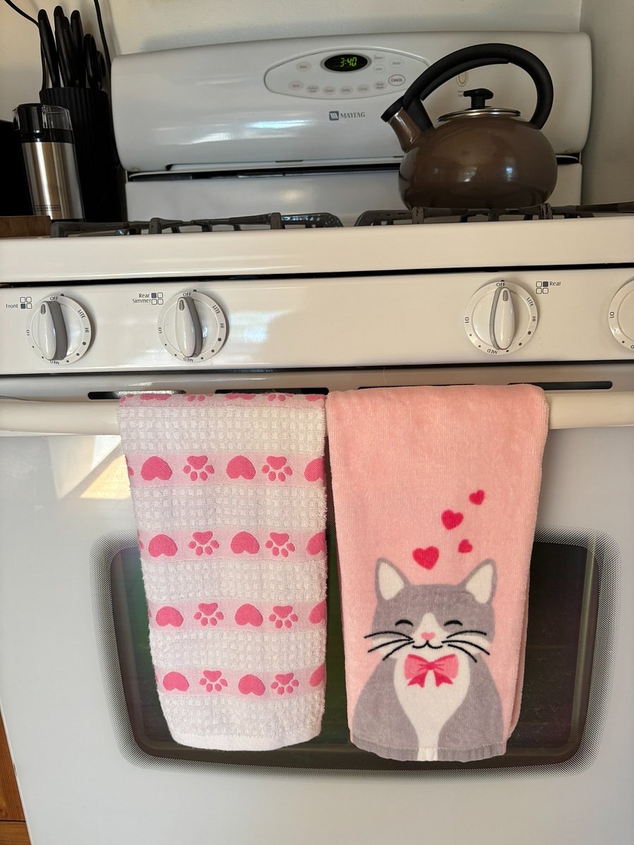 Kitchen - Pet friendly home :) 