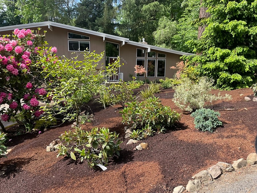 front yard