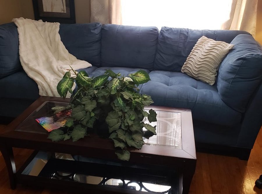 Furnished Finder property 758153_1 photo 8