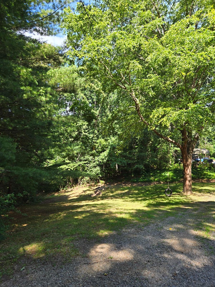 Furnished Finder property 758520_1 photo 11