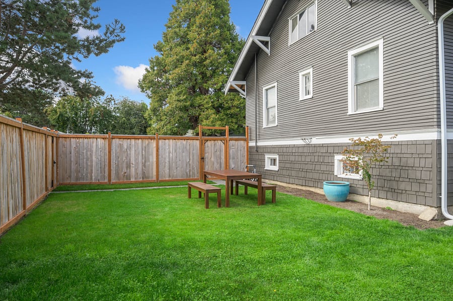 Another view of the backyard.