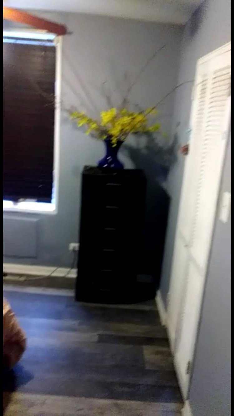Furnished Finder property 758989_1 photo 4