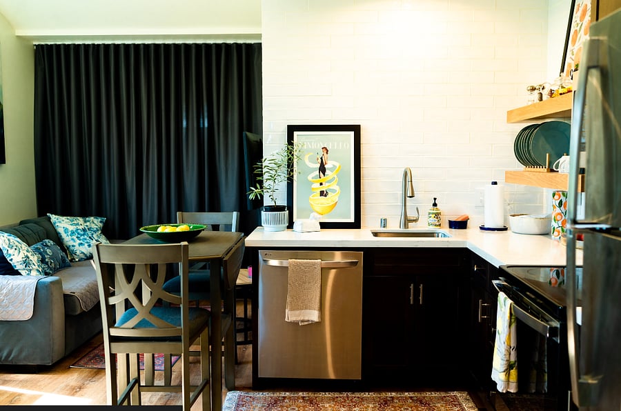 dishwasher,closet behind the curtain,storage