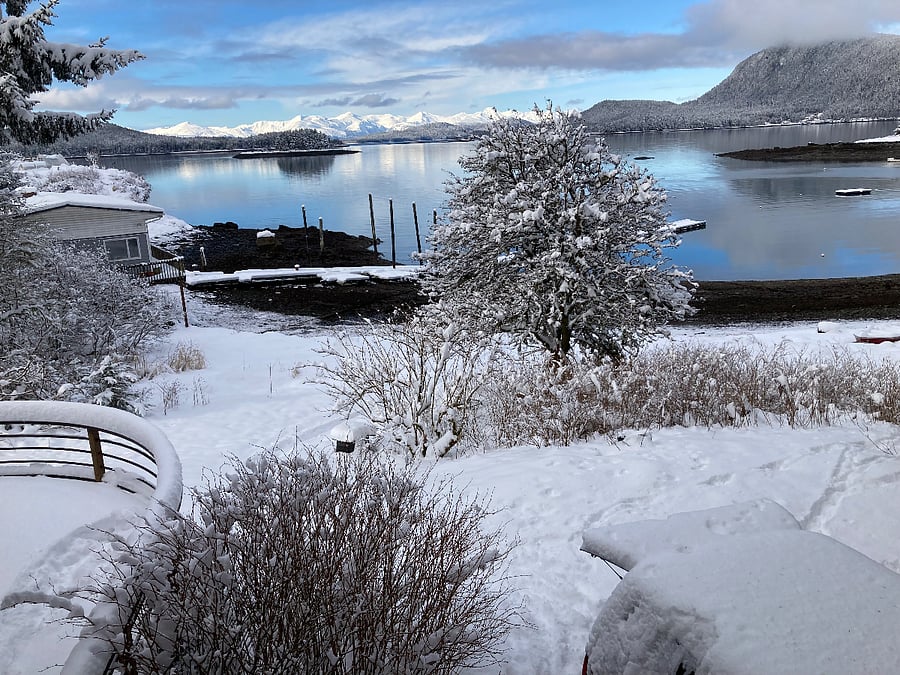 A snowy scene when the sun came out.